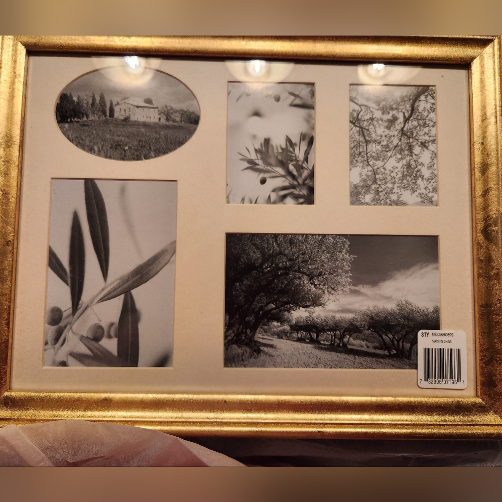 Gold Multi-Photo Frame, 14 X 11